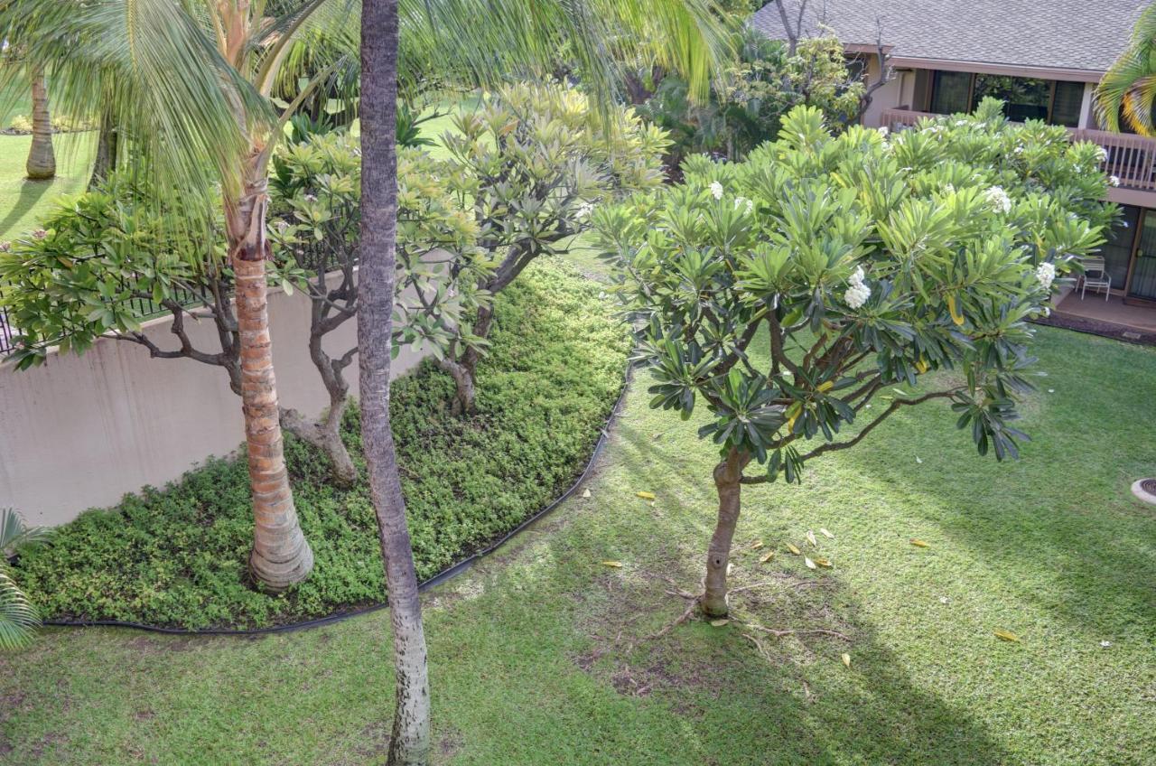 Kihei Akahi C308 Daire Wailea  Dış mekan fotoğraf